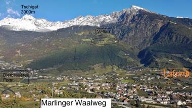 Ferienwohnung Lafreid Algund