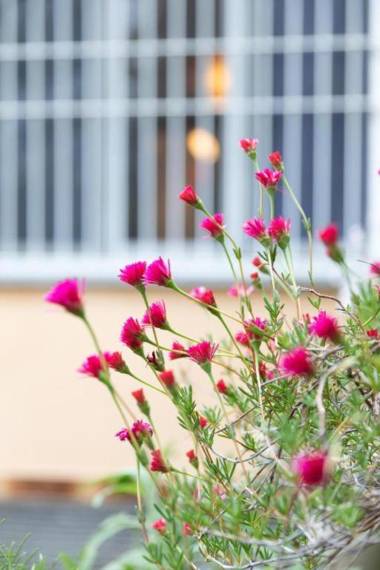 Nice Lake view apartment