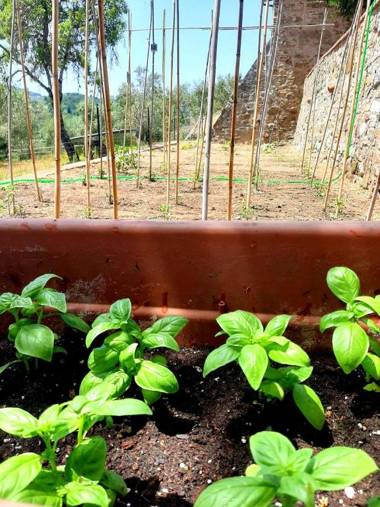 Charming 4-Bed Cottage 15 minutes from Florence