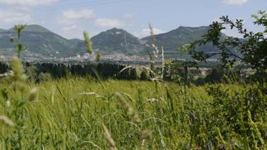 Agriturismo Germogli I Tenuta di Fassia