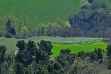 Agriturismo Di Charme La Ghirlanda Wine Resort