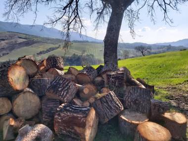 Il Colle Verde - Il Nido Nero