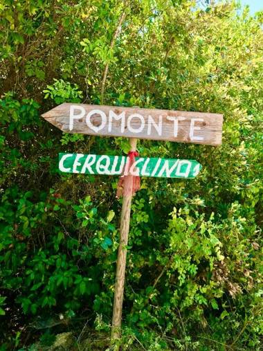 Il Colle Verde - Il Nido Nero