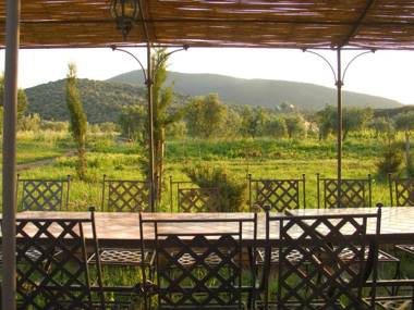 La Pulledraia Del Podere Montegrappa