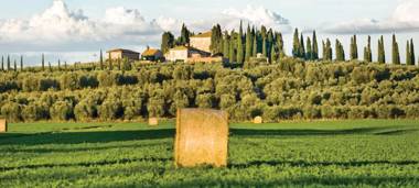 Tenuta di Poggio Cavallo