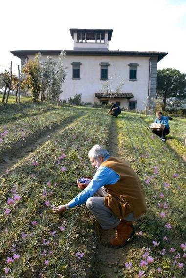Agriturismo Corte Di Valle