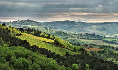 Agriturismo Poggio all'Olmo