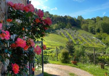 Agriturismo Poggio all'Olmo