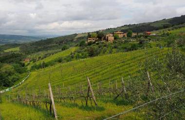 Agriturismo Poggio all'Olmo