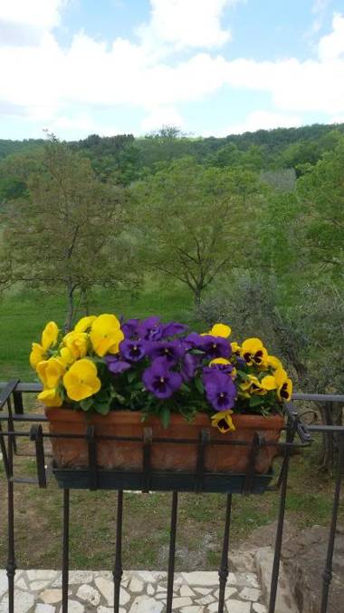 Agriturismo Sommassa