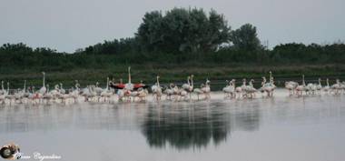 Albergo Ristorante Uspa