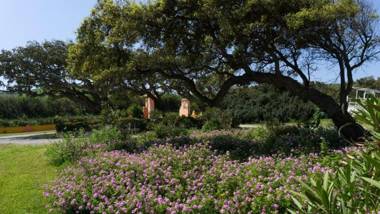 Welcomely - Casa Ginestra