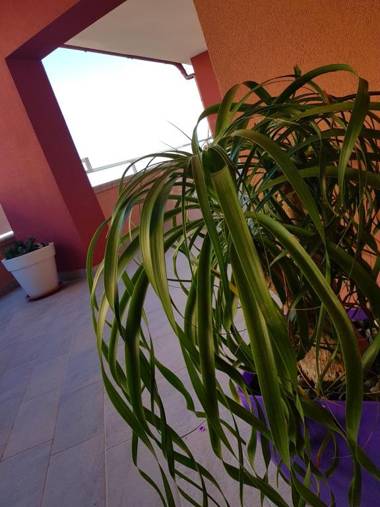 Mistral Exclusive B&B