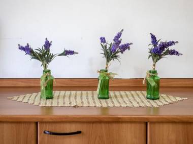 Appartamento Magenta