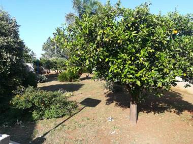 Il Giardino degli Ulivi