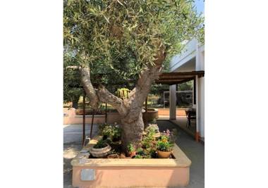 A&B Homes Leuca Countryside