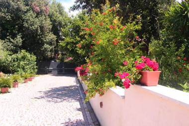 B&B La Terrazza di Frascati