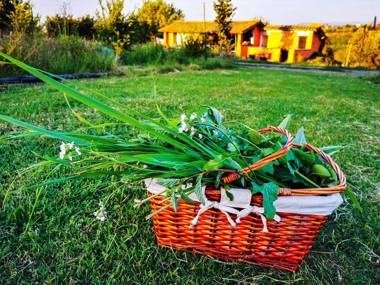 Country House Erba Regina