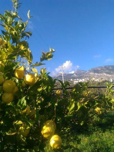 Agriturismo - B&B "La Funicolare"