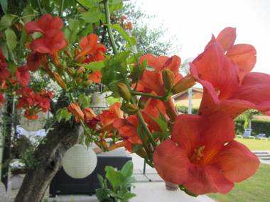 Hotel Villaguarda Landscape Experience