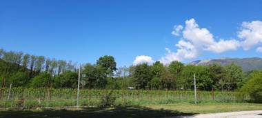 Agriturismo La Bella