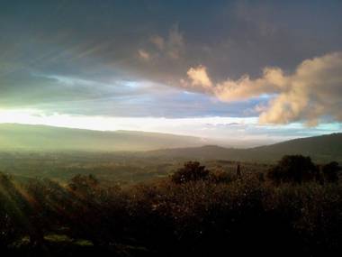 Azienda Agrituristica Il Moraiolo