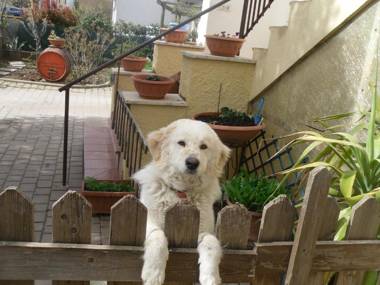 Antoma - Affitti brevi a Foligno