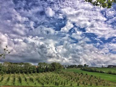 Fattoria Santa Vittoria