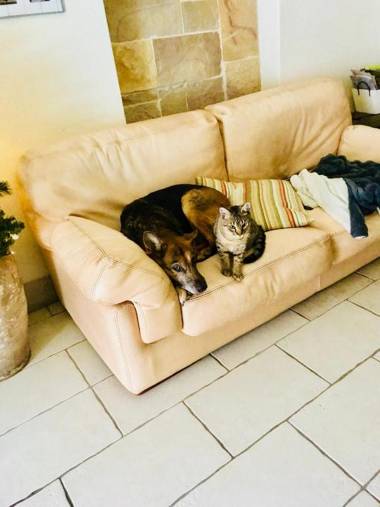 Hotel Bella Napoli & SPA