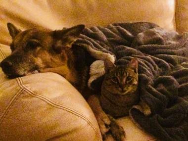 Hotel Bella Napoli & SPA