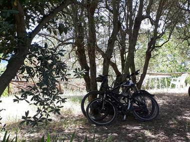 Fattoria Il Milione Agriturismo