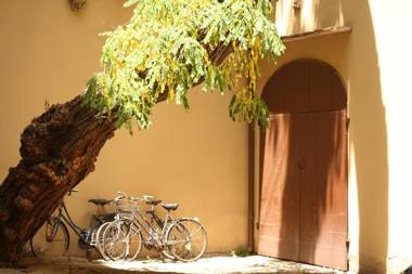 Acacia Firenze - Primula