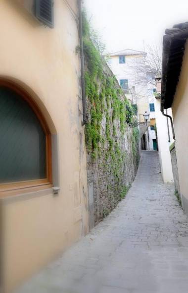 Acacia Firenze - Giglio