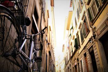 Historic Apt w Kitchen & Washer - Walk Everywhere!