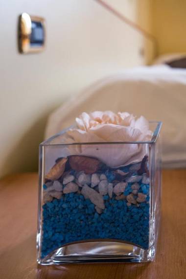 Hotel Angelica " Stazione Santa Maria Novella "