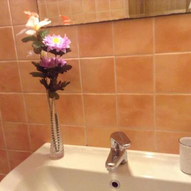 Vellutini Number One