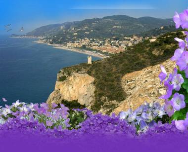 Casa Vacanze Isophylla