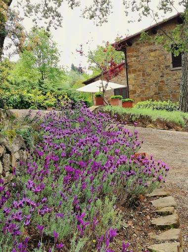 Villa Toscana Il Capiteto