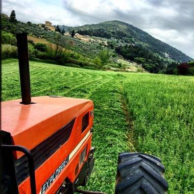 Agriturismo Fattoria Di Maiano