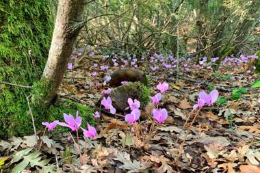 The Tower With Amazing View Shared Pool family fun double terrace