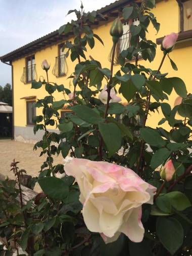 La Locanda Del Tevere