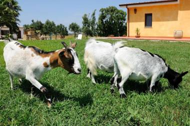 Agriturismo La Genziana