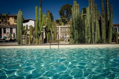 Relais Garden Cactus