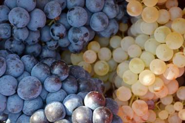 Agriturismo Gli Archi