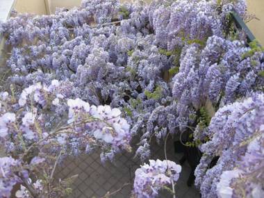 Lo Squero Rooms and Apartments