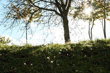 Agriturismo Florandonole