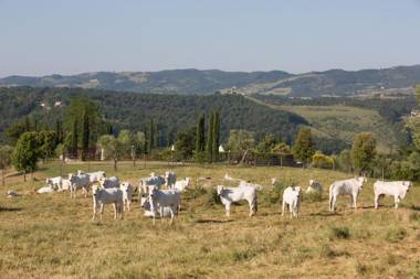 Poggiovalle Tenuta Italiana
