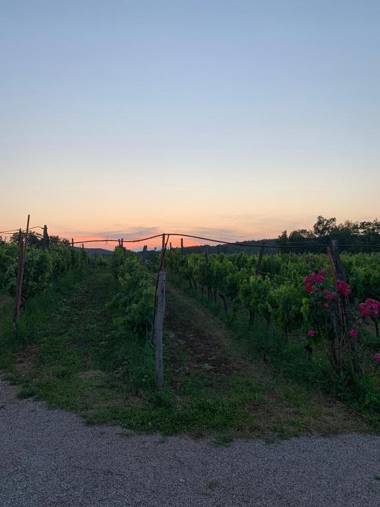 Cardo Boutique&Wine Resort