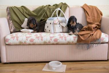 Grand Hotel Royal E Golf