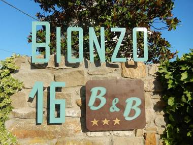 B&B Bionzo16